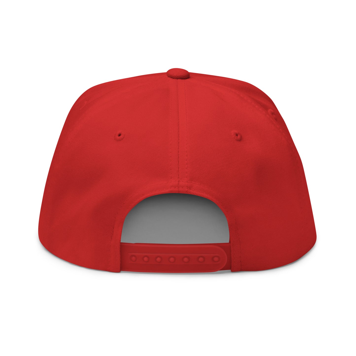 Gorra de visera plana bordada