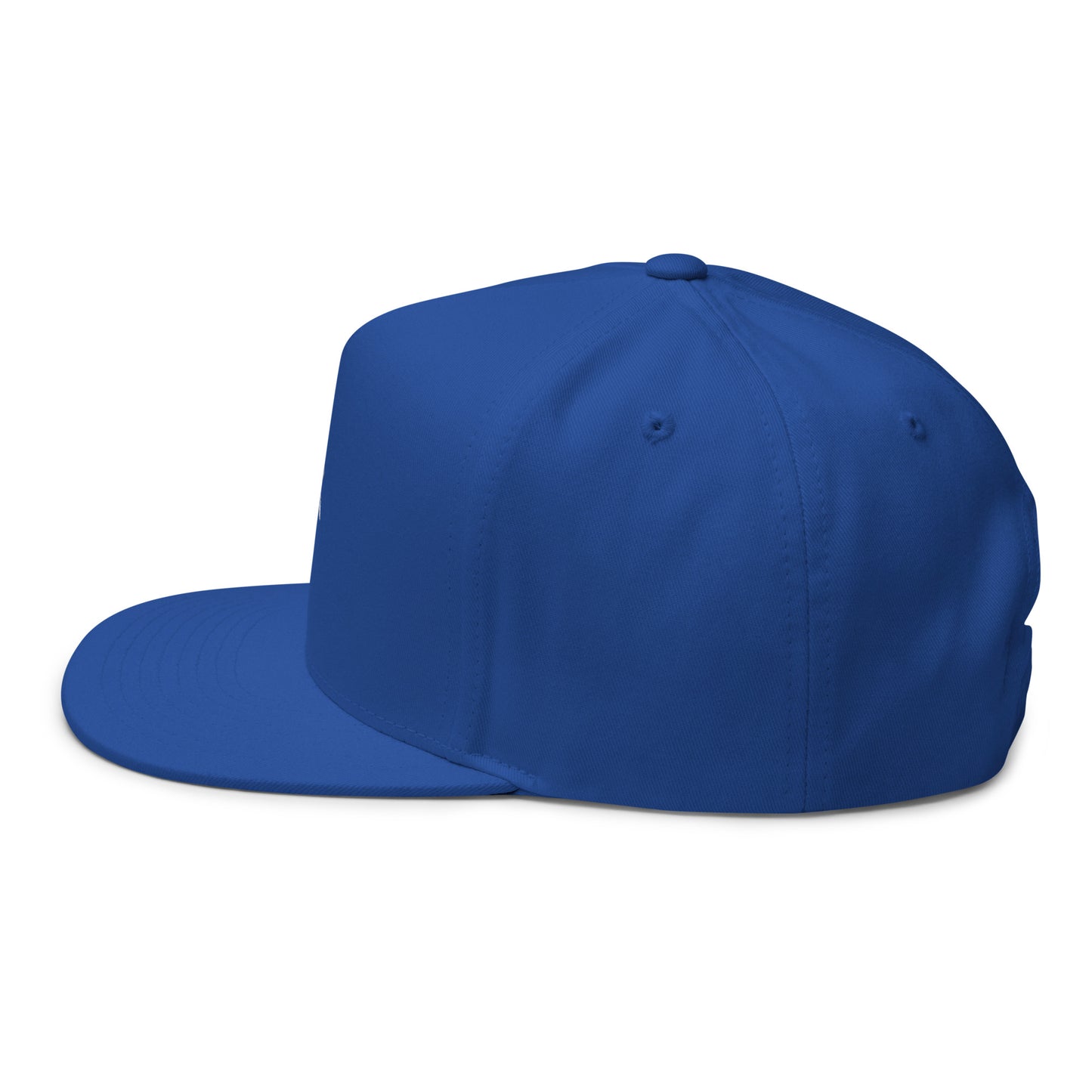 Gorra de visera plana bordada