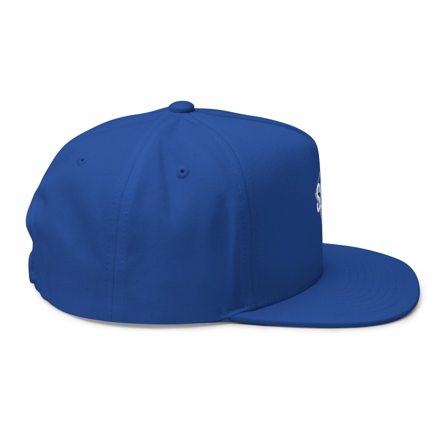 Gorra de visera plana bordada