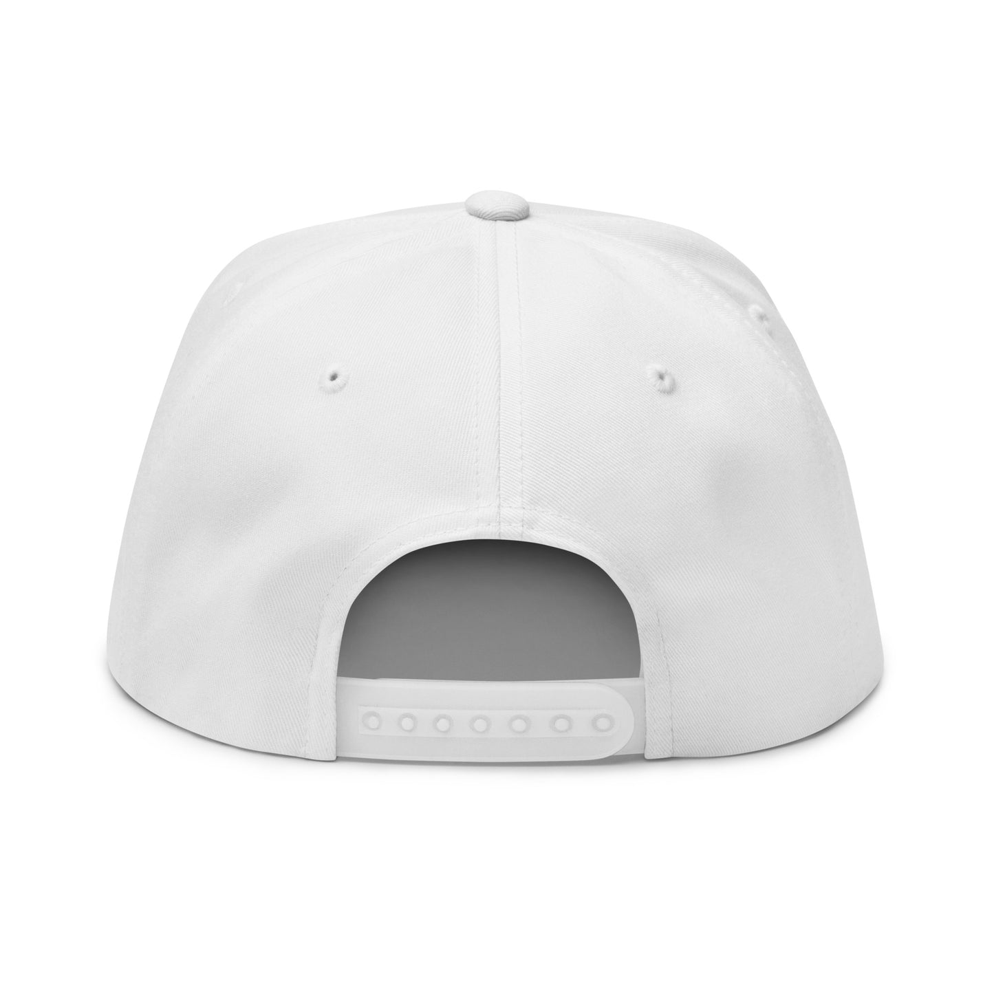 Gorra de visera plana bordada