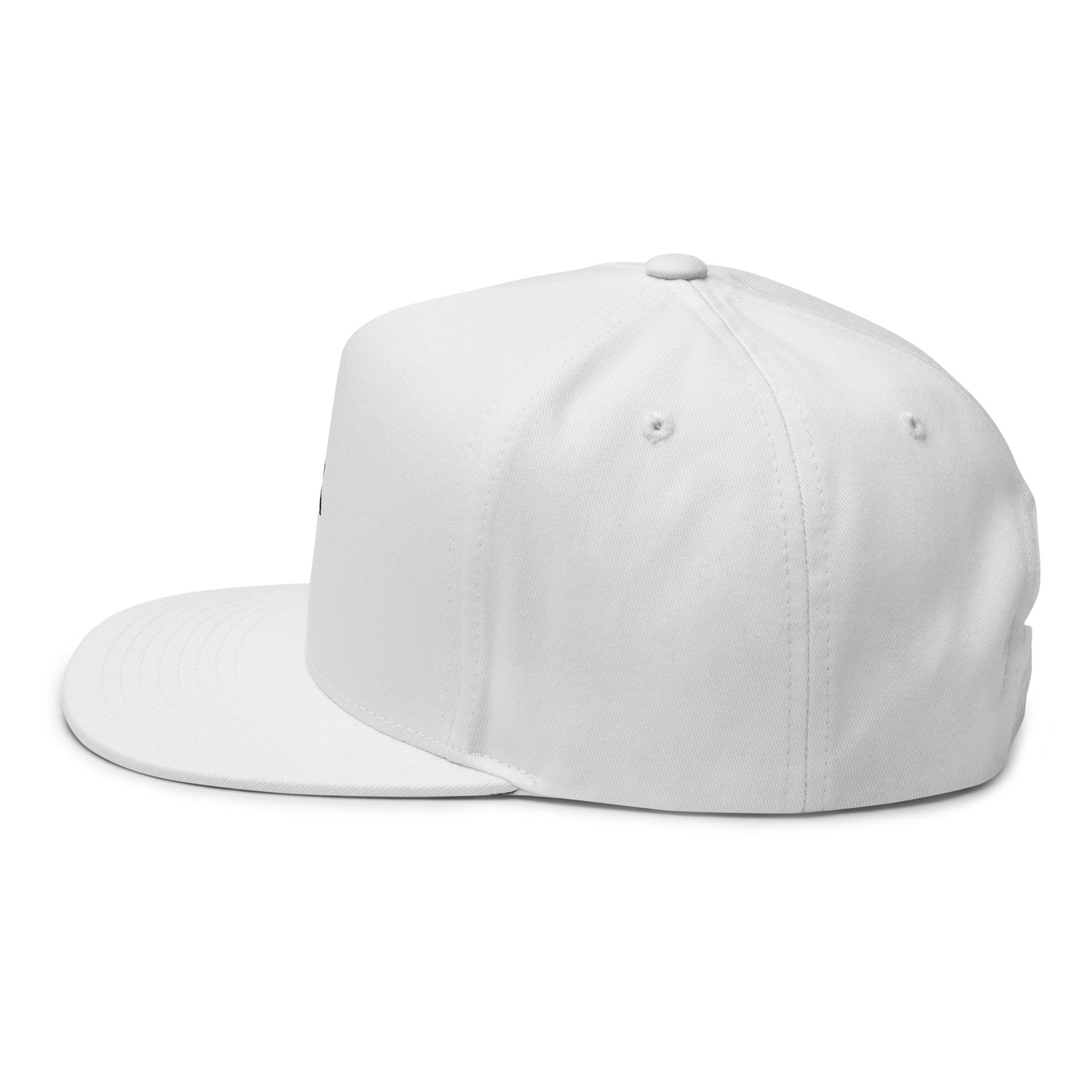 Gorra de visera plana bordada